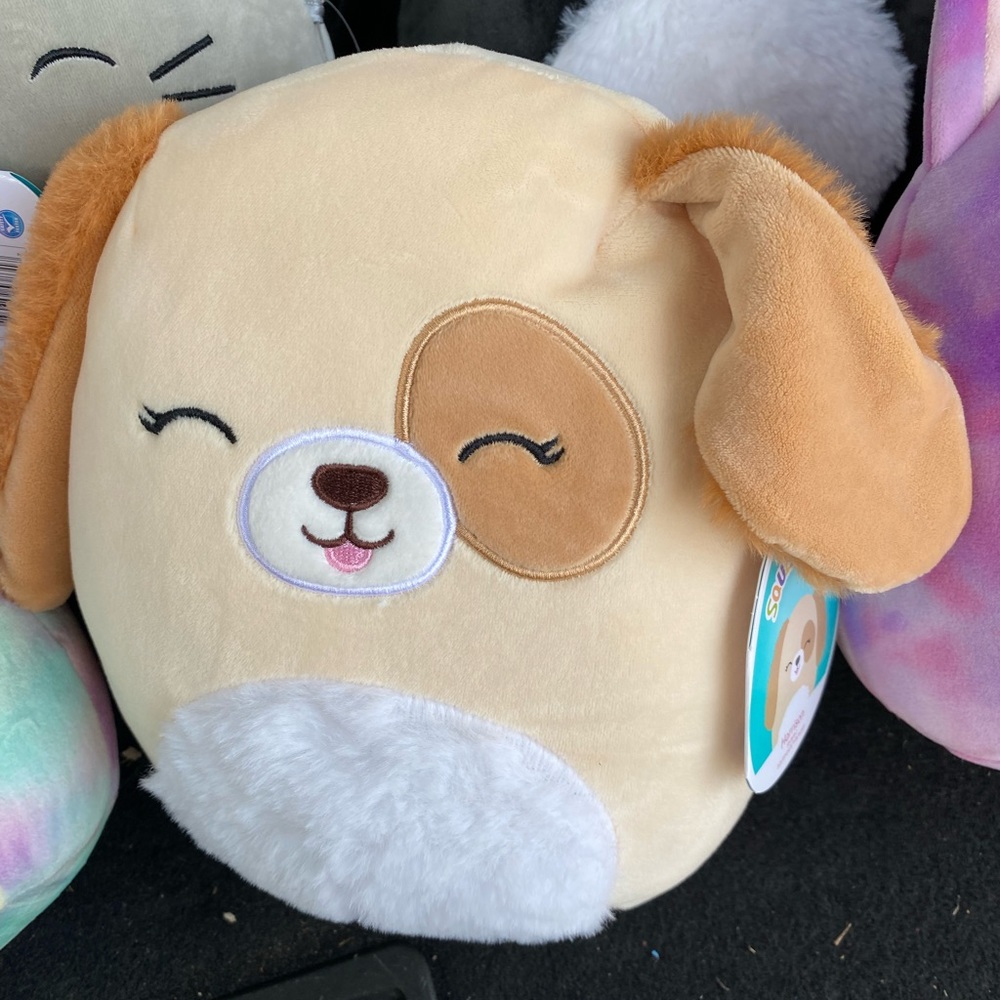Squishmallows 8” Harrison the dog floppy hears NWT